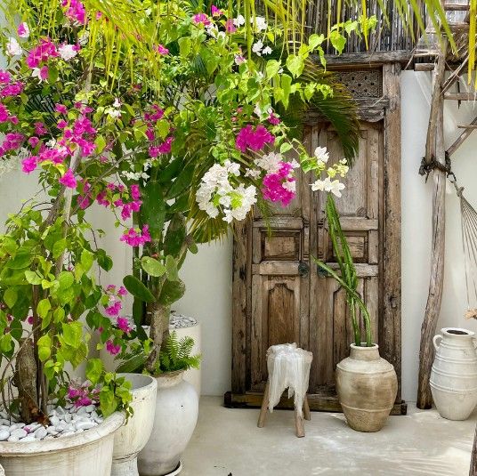 Interne familiesystemen